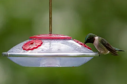 Sherem hummingbird feeders